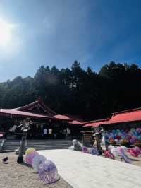  金蛇水神社へ行くべき五つの理由🇯🇵✈️🌎