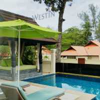 Heavenly Shores and Wellness Flow