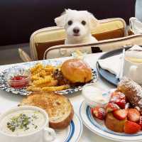 A pretty brunch cafe with an American casual concept!
