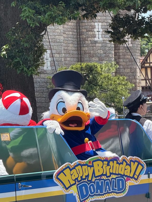 Where Disney Dreams Soar – Tokyo Disneyland Awaits!