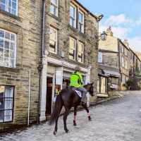 the Black Bull