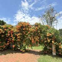 Penang Botanical Garden
