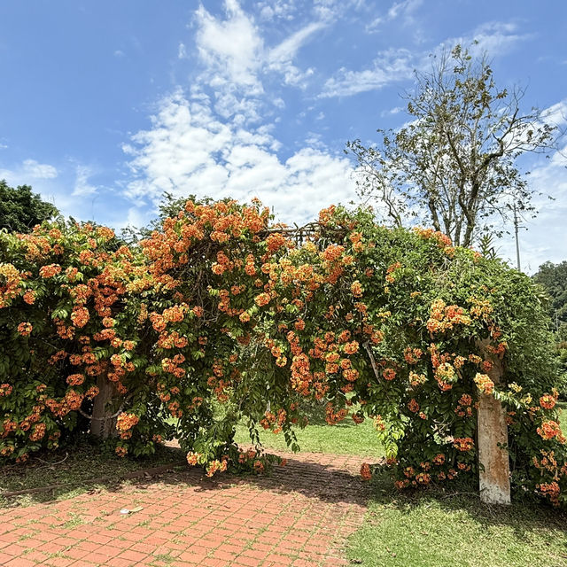 Penang Botanical Garden