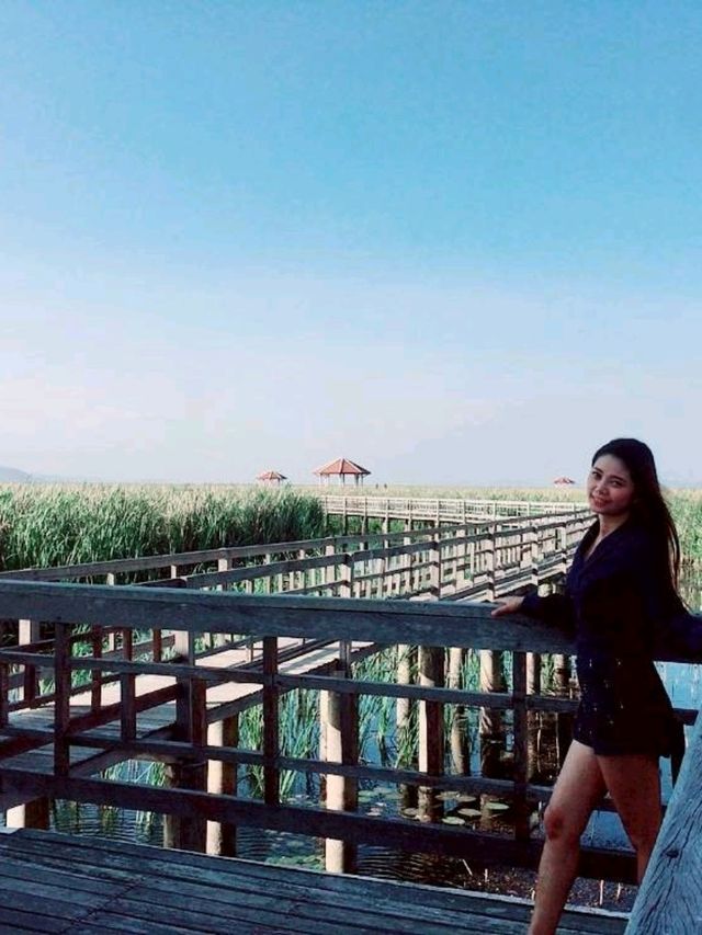 ศูนย์ศึกษาธรรมชาติบึงบัว เขาสามร้อยยอด