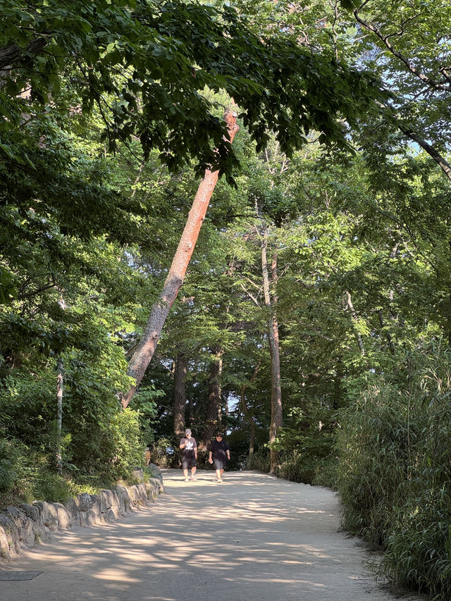여름 경주 여행코스🌿
