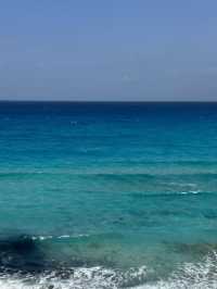 Filter Blue Betrayal: Ageeba’s Lie-Lit Water