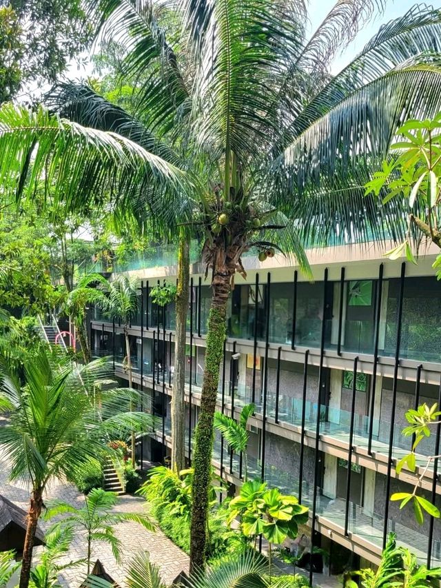 Green Escape by the Sea: Siloso Bliss on a Budget