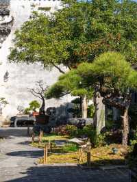 Hongcun: A Living Scroll of Huizhou Heritage