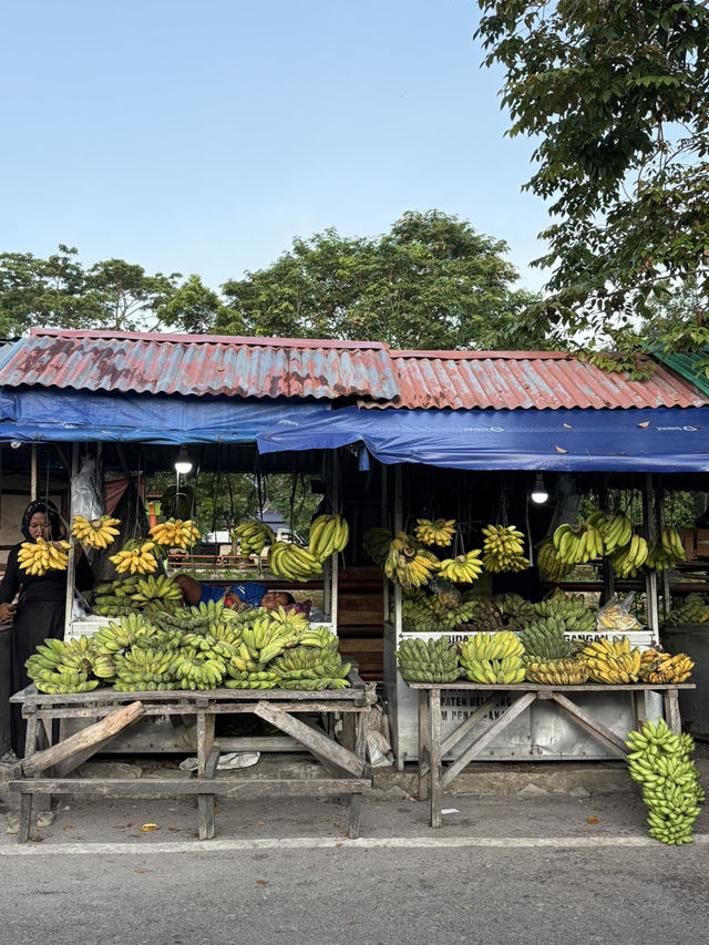 Fresh Fish & Local Life 🇮🇩🐟🌧️