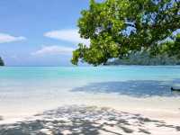 หาดไม้งาม