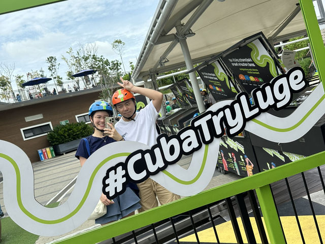 Fantastic Skyline Luge Experience