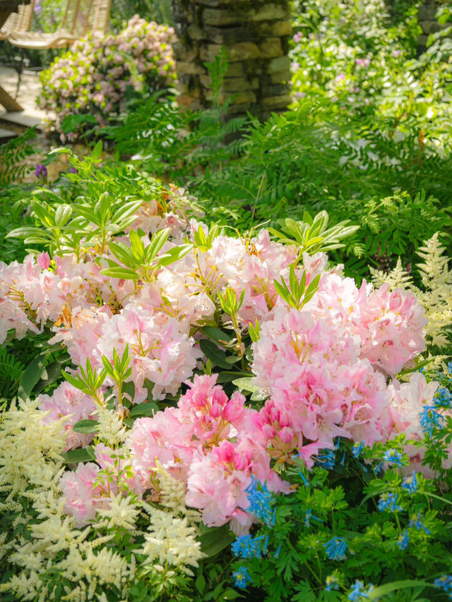 🌸 Dreamy Shanghai Garden Festival | Healing Garden Therapy! 🌸