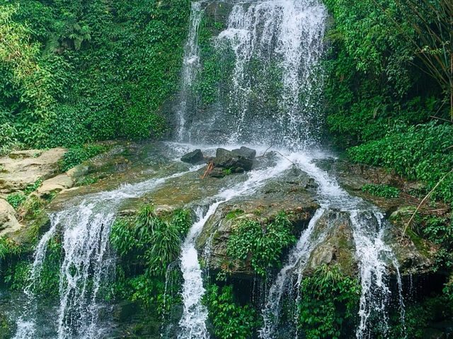 Longxian Waterfall 🌳 