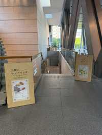 【東京】東京都現代美術館