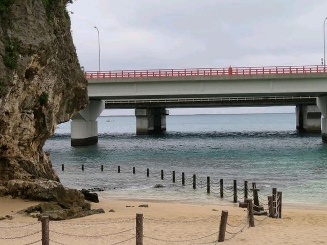 ⛩️ 沖繩漫遊｜首里城、藍色小鳥、庭園午餐和波上宮海景*🐦🌿🌊