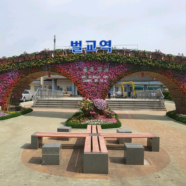 보성녹차와 벌교꼬막이 함께하는 남도여행~!