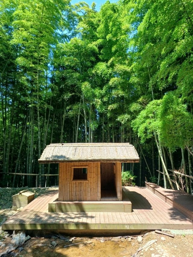 대나무 숲에서 즐기는 힐링 스팟 🌿