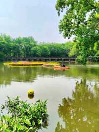 Xixi National Wetland Park – China’s Venice of Reeds & Waterways