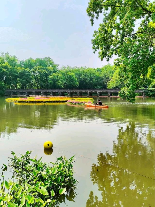 Xixi National Wetland Park – China’s Venice of Reeds & Waterways
