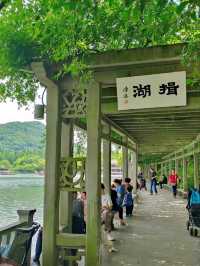 Huagang Guanyu (Viewing Fish at Flower Harbor)