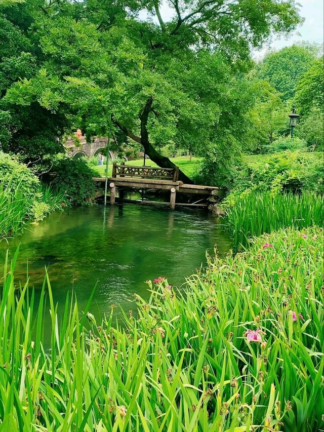 Where West Lake’s Romance Blooms – A Floral Fairytale for All Seasons