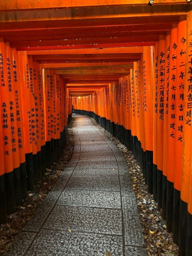 Kyoto panoramas