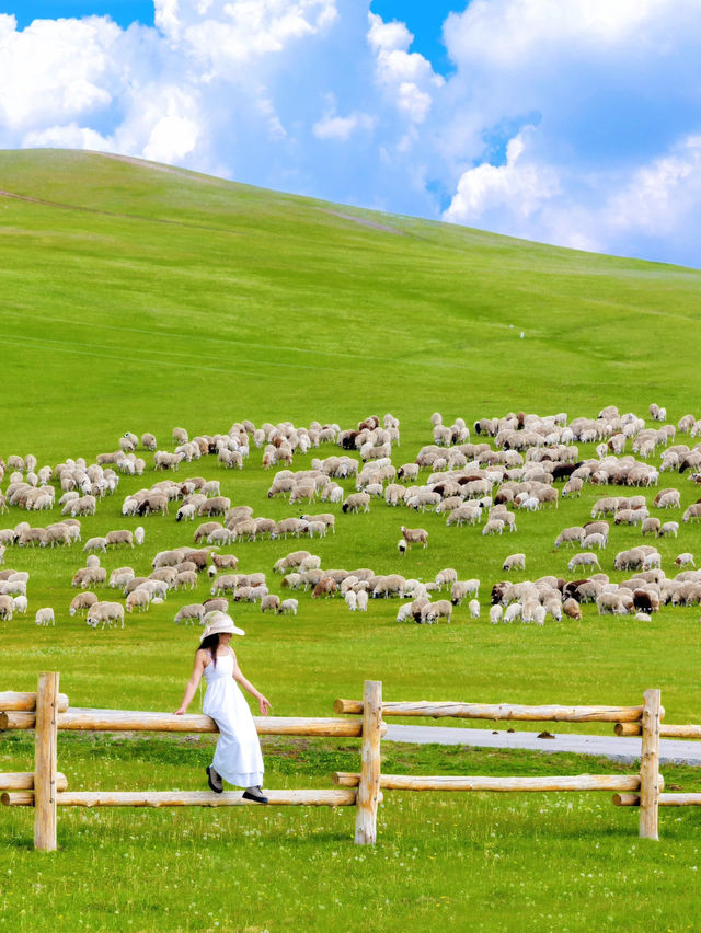 🌿 Summer in Hulunbuir, very beautiful!!!