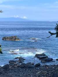 🏝️ Izu 1-Day Getaway Under RM80 – Coastal Views & Onsen Feels!