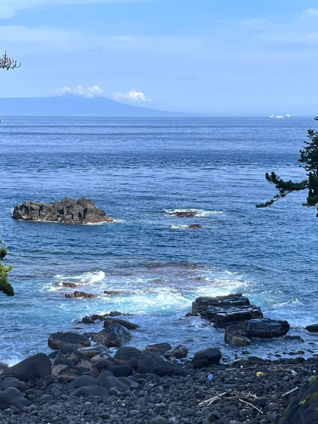 🏝️ Izu 1-Day Getaway Under RM80 – Coastal Views & Onsen Feels!