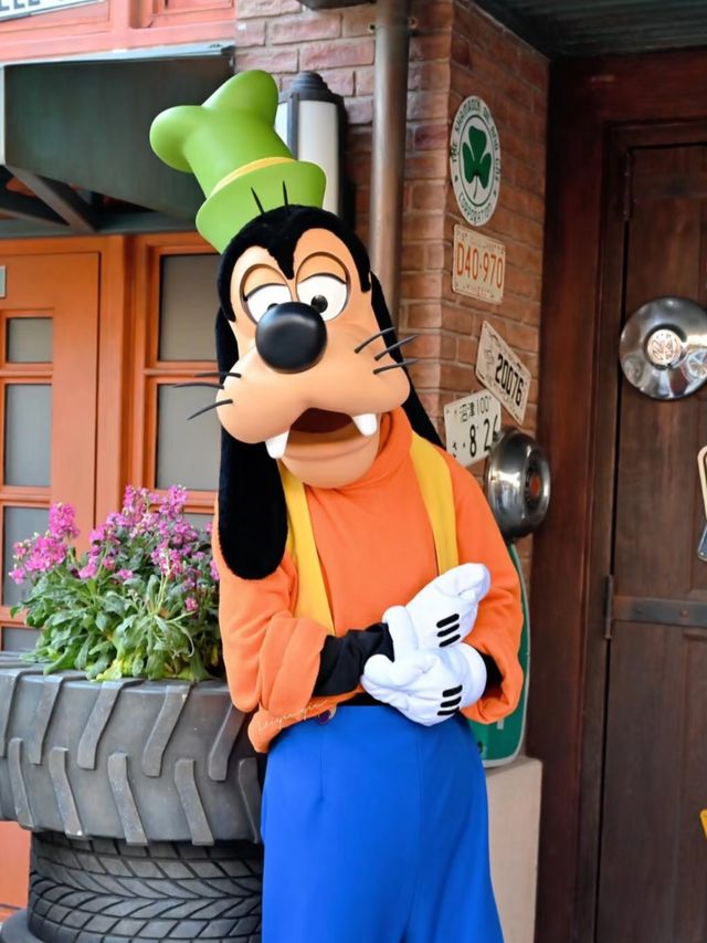 A Magical Fusion: Disney Dreams with a Chinese Heart