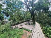Quick Escape to Jingmei Mountain