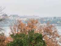 A Belated Realization at Beihai Park