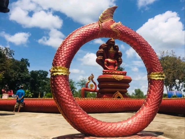 📍วัดป่าดงหนองตาล จ.อุดรธานี