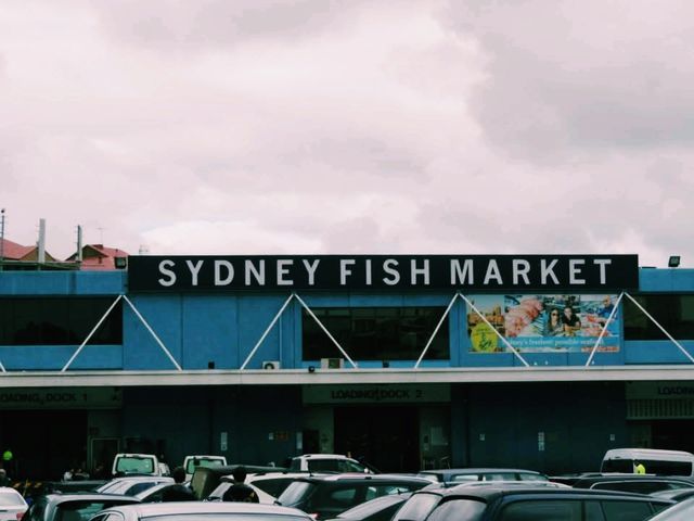 Seafood Feast by the Harbour: A Day at Sydney Fish Market