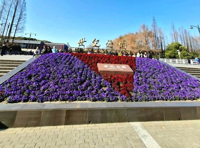 City’s Green Escape: Century Park