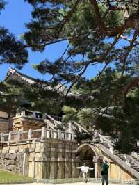 역사 속으로 떠나는 경주