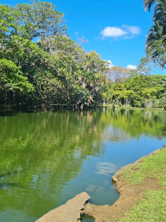 Exploring the Lush Sir Seewoosagur Ramgoolam Botanical Garden