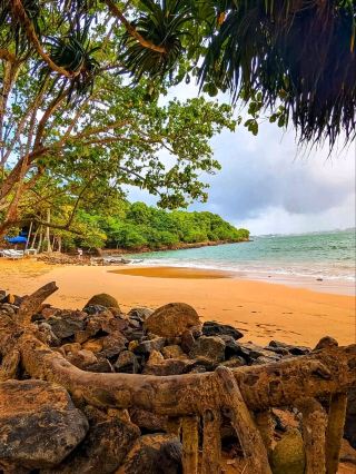 🏝️ Jungle Beach, Unawatuna – A Hidden Tropical Escape