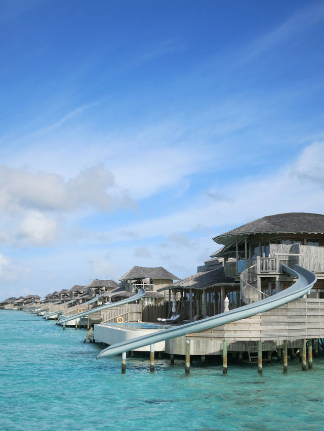 🌊 Barefoot Luxury in the Maldives