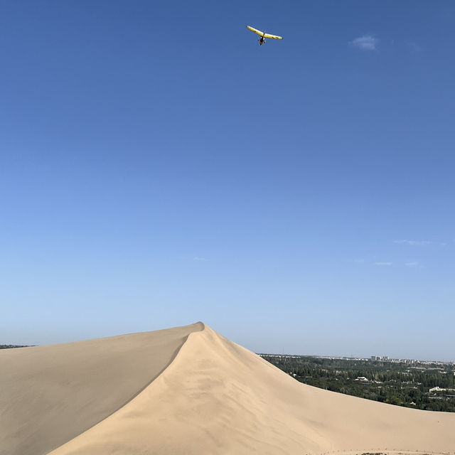 A Desert Park Like No Other 