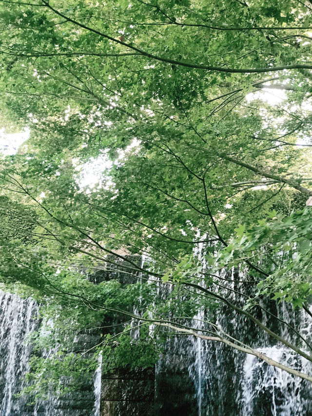 💧🏞️水と音がつなぐ非日常──品川・御殿山庭園の滝散歩 💧🏞️水と音がつなぐ非日常──品川・御殿山庭園の滝散歩