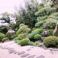 秋の紅葉を訪ねて — 昇天山 金龍禅院(横浜)