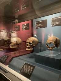 【国立科学博物館】子どもから大人まで楽しんで考える!4万年前の氷河期を知れる特別展
