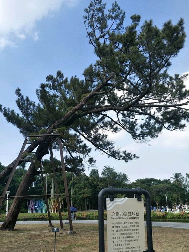 見證南台灣的飲水歷史與自然交織的文化地景#臺南山上水道花園博物館-臺南市山上區 見證南台灣的飲水歷史與自然交織的文化地景#臺南山上水道花園博物館-臺南市山上區