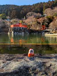 วัดดารุมะ หรือ Katsuoji Temple โอซาก้า