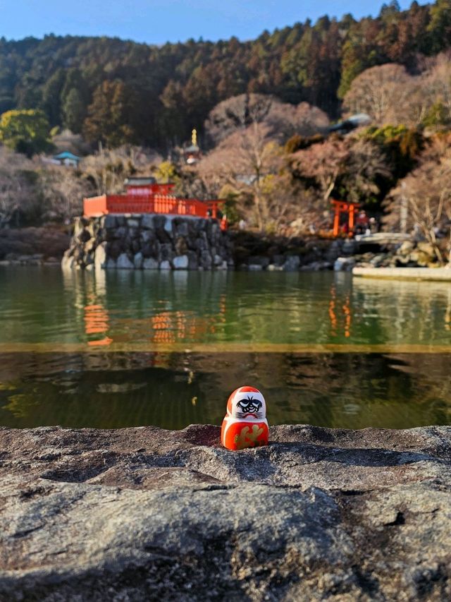 วัดดารุมะ หรือ Katsuoji Temple โอซาก้า