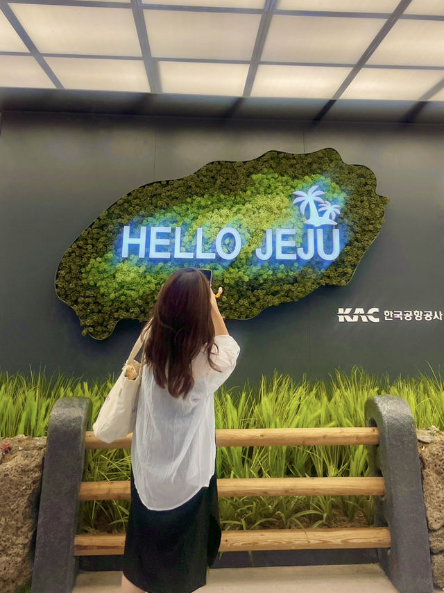 🌊 제주의 동쪽과 서쪽, 어디로 갈까? 꿀팁 정리 ✨