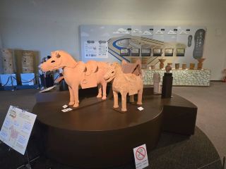 [Osaka] Sakai City Museum, Sakai City