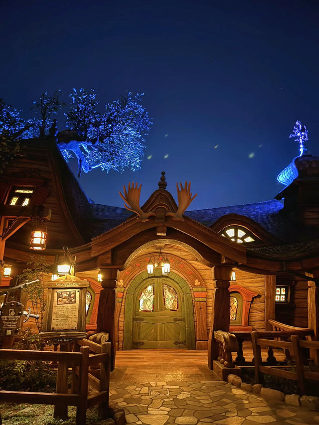 【東京ディズニーシー】夜に行きたい✨夜景が素敵すぎる🤍