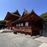 The Soul of Kamakura: A Solo Visit to Tsurugaoka Hachimangu Shrine ⛩️